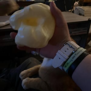 Zachary ha añadido una foto de su compra