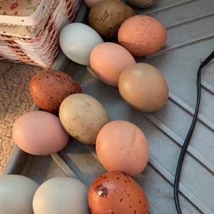 Yvonne added a photo of their purchase