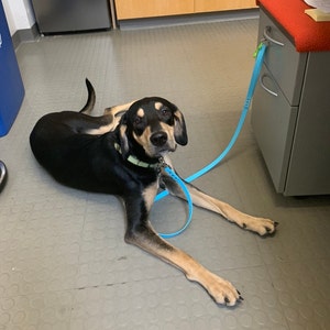 Dina added a photo of their purchase