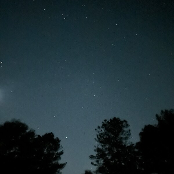 Stainless Steel Wire Rings | Luggage Tag Rings | Wire Rope Keyrings ...