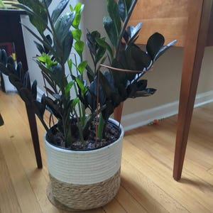 Jim added a photo of their purchase