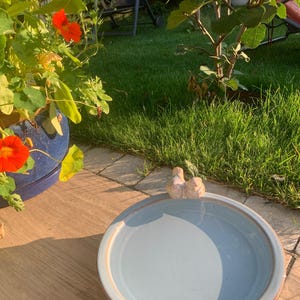 Silke added a photo of their purchase