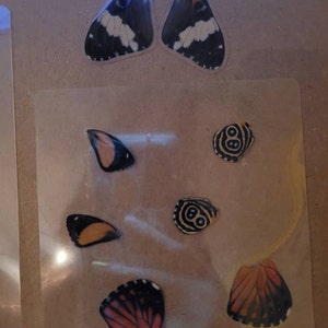 Eel added a photo of their purchase