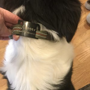 Sandi added a photo of their purchase