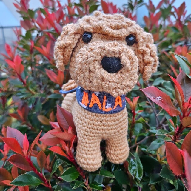りえっぺ トイプードル あみぐるみ 6点セット Amigurumi | Crochet | Toy Poodle [Part 1] | Crochet in one