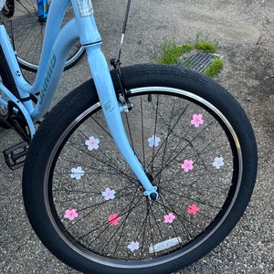 Rachel added a photo of their purchase