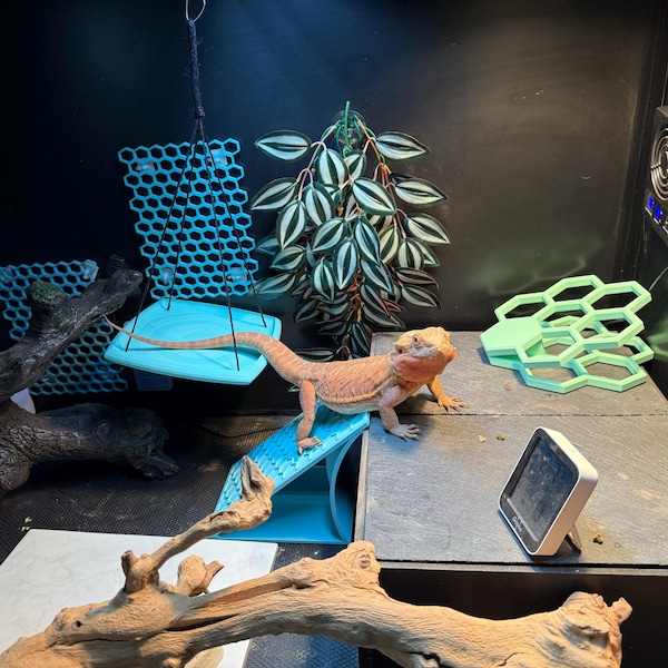 Reptile Climbing Ramp, Bearded Dragon Basking Platform, Rock Wall ...