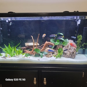 Billy-Lisa added a photo of their purchase