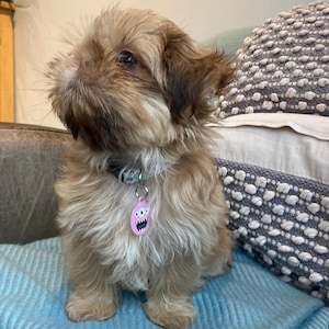 Julia hat ein Foto des gekauften Artikels hinzugefügt