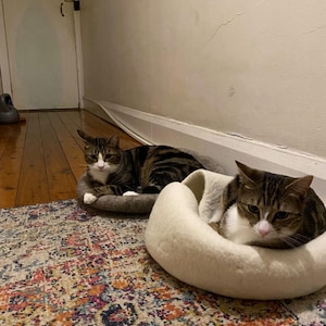 Lily added a photo of their purchase