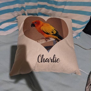 Katelyn added a photo of their purchase