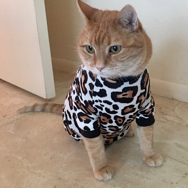 Sphynx Cat Clothes Cat Clothing for all par PolocatsCreations