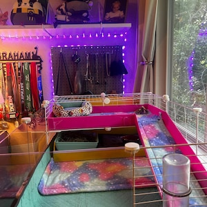Emily added a photo of their purchase