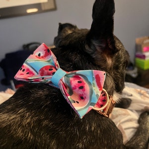 Corey added a photo of their purchase