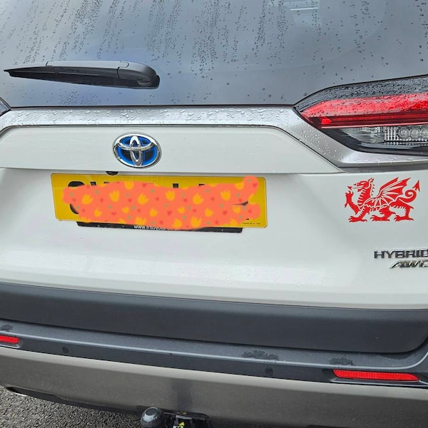 Starfish Vinyl Decal Sticker - Ocean Beach Theme Die-Cut Decal For Cars & Windows