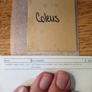 Shea added a photo of their purchase