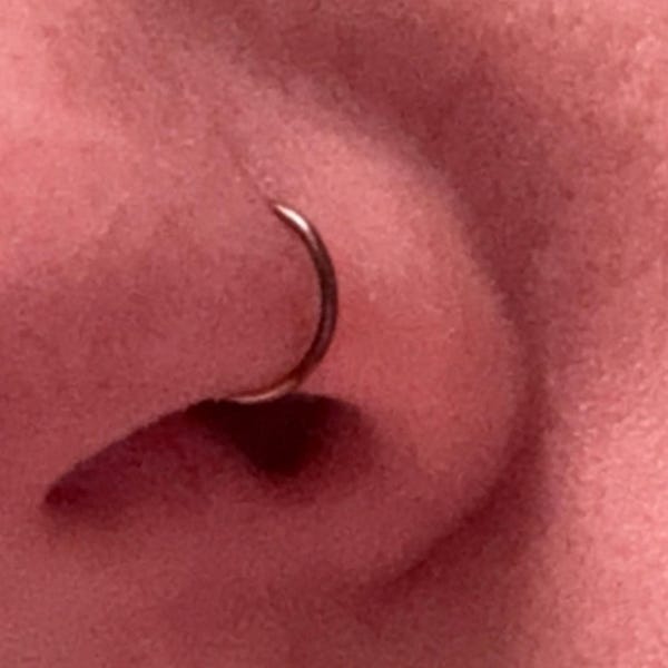 Double Hoop Nose Ring,double Nose Hoop 1 Piercing,spiral Hoop Earrings