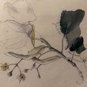 Kalindi ha añadido una foto de su compra