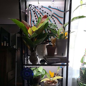 Emily added a photo of their purchase