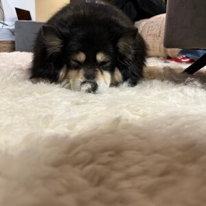 Canada ha añadido una foto de su compra