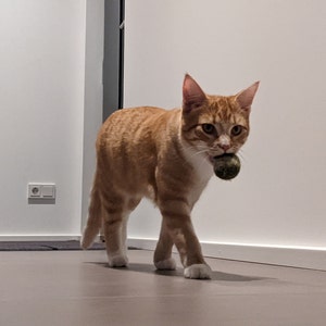 David さんが購入した商品の写真を追加しました
