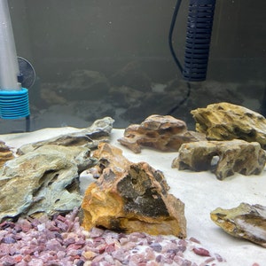 Dry Aquarium Reef Rock by the Lb Mixed Sizes - Etsy
