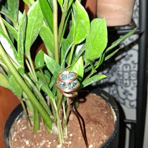 Bradley added a photo of their purchase