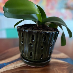 Amanda added a photo of their purchase