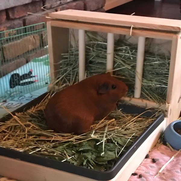 Guinea Pig Hay Feeder, Hay Rack Wooden, Made by Asaswood - Etsy