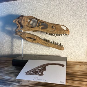 Keven added a photo of their purchase