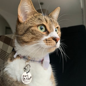 Ines heeft een foto van de aankoop toegevoegd