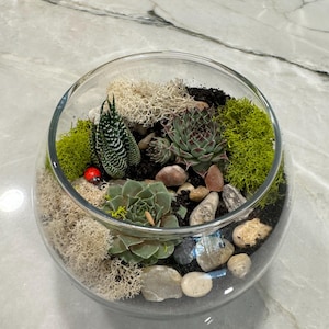Julie added a photo of their purchase