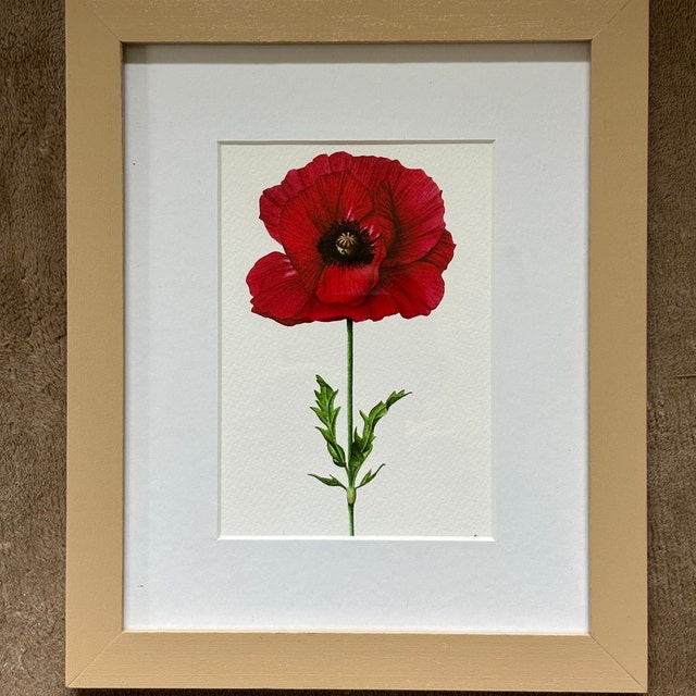 赤いポピー - ファインアートプリント - Etsy 日本