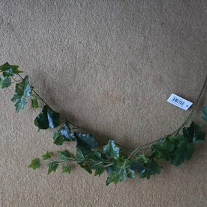 Clive added a photo of their purchase