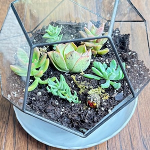 Amy added a photo of their purchase