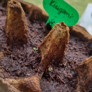 Fable ha añadido una foto de su compra