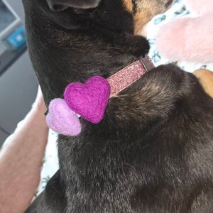 Pink added a photo of their purchase