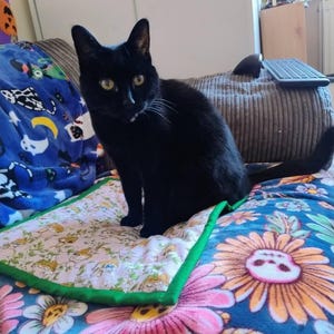 Etsy buyer added a photo of their purchase