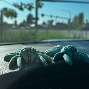 Rae added a photo of their purchase