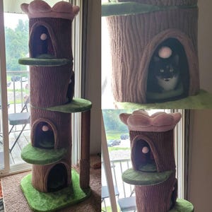 fwmp added a photo of their purchase