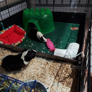 Rudelys added a photo of their purchase