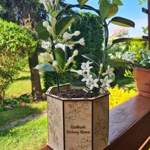 Ola added a photo of their purchase