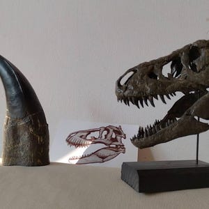 Piotr a ajouté une photo de son achat