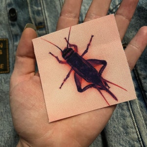 Austin hat ein Foto des gekauften Artikels hinzugefügt