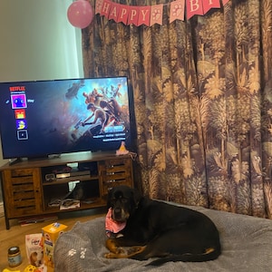 Hayl added a photo of their purchase