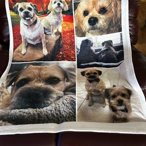 Penny added a photo of their purchase