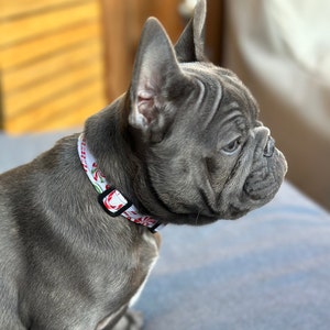 patriotic dog bow tie