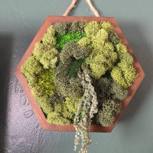 Olivia added a photo of their purchase