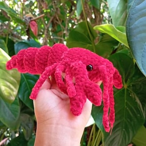 luisa added a photo of their purchase