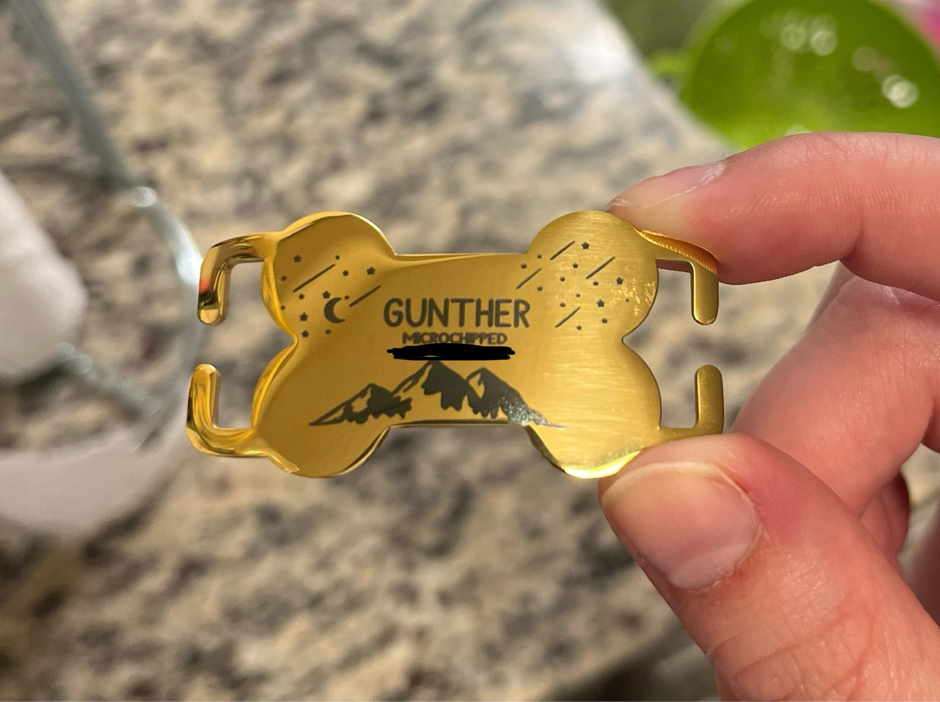 Silent dog tag personalized,Slide on dog tag,Dog Tags For Dogs,Custom Dog Name Tag,Engraved Pet ID Tag,Dog Tag Collar,Cat Tag,Puppy Tag